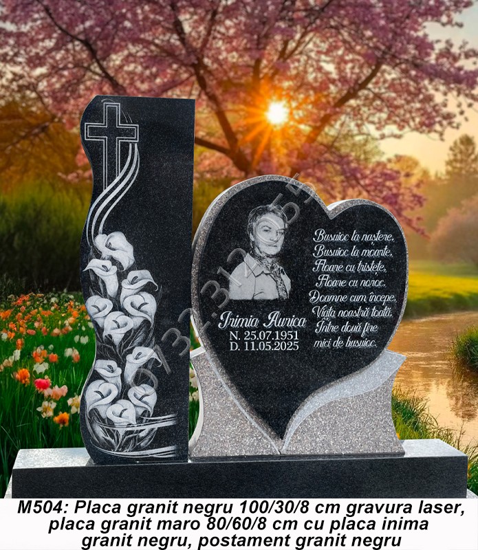 cruce granit M504 Simeria